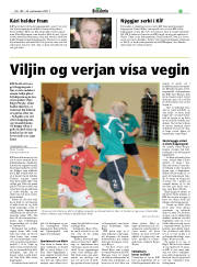 Síða 19