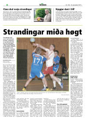 Síða 20