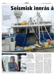 Síða 22