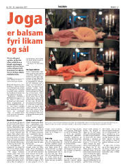 Síða 25