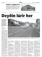 Síða 8