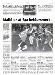 Síða 29