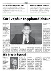 Síða 7