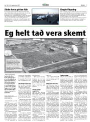 Síða 9