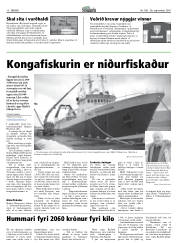 Síða 10