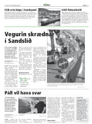 Síða 11