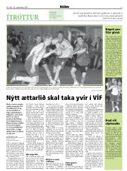 Síða 17