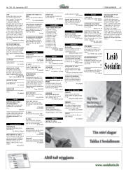 Síða 41