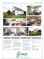 Síða 19