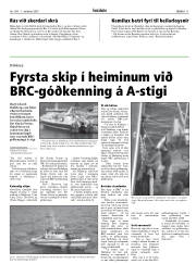 Síða 11