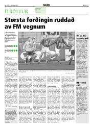 Síða 17