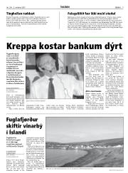 Síða 9