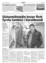 Síða 11