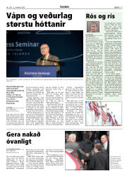 Síða 19