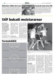 Síða 28