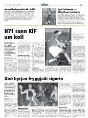 Síða 29