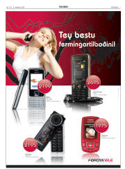 Síða 3