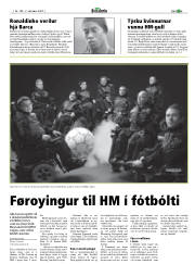 Síða 31