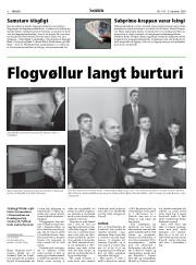 Síða 8