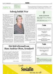 Síða 17