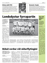 Síða 19