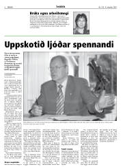 Síða 8