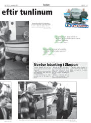 Síða 15