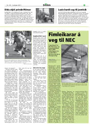 Síða 31
