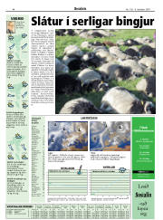Síða 44