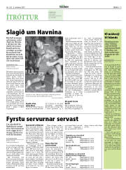 Síða 19