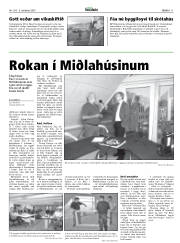 Síða 11