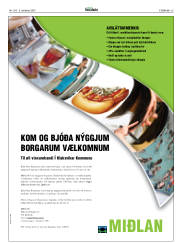 Síða 25