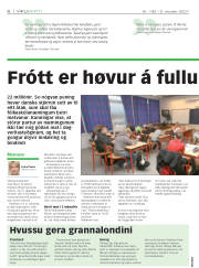 Síða 6