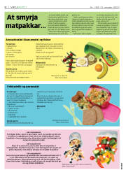 Síða 8