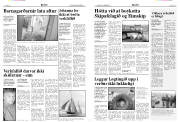 Síða 4