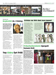 Síða 17