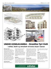 Síða 19