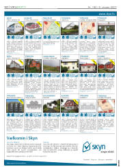 Síða 20