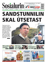Síða 1