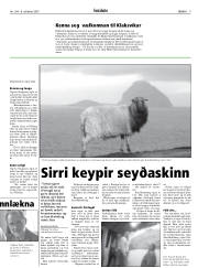 Síða 9