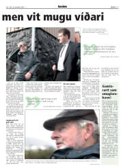 Síða 17
