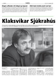 Síða 8