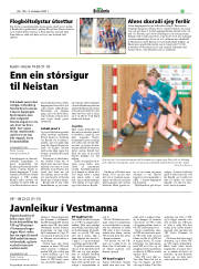 Síða 23