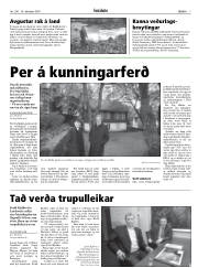 Síða 7