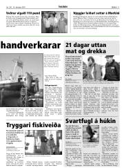 Síða 11