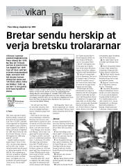 Síða 19