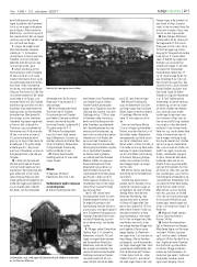 Síða 21