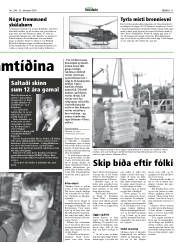 Síða 11