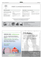 Síða 17