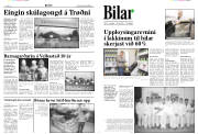 Síða 8